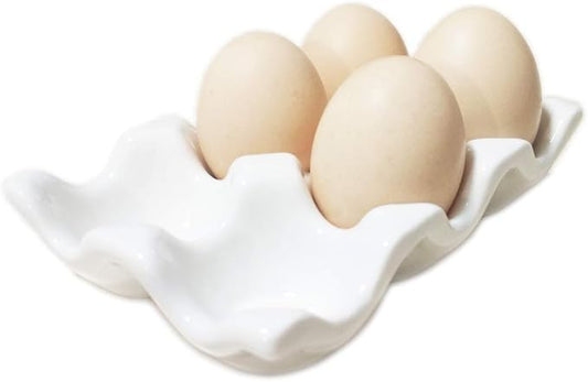 Ceramic Egg Holder Egg Tray Porcelain Fresh Egg Holder for Fridge Countertop Kitchen Storage Half Dozen 6 Cups (White)