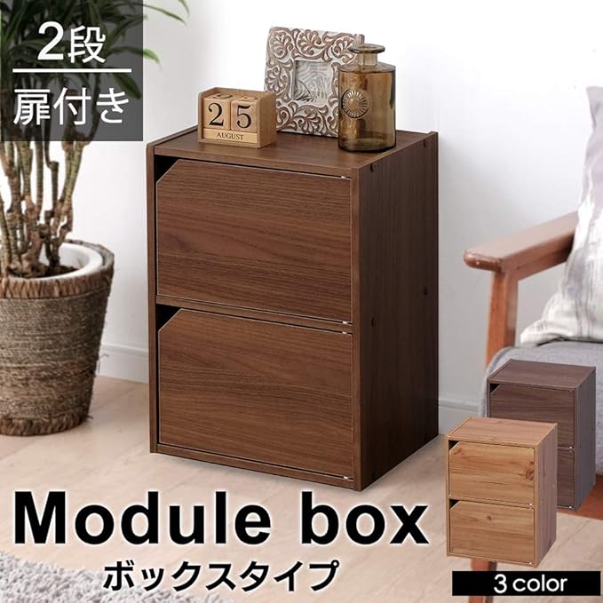 Iris Ohyama MDB-2D Color Box, Storage Box, Bookshelf, 2 Tiers, with Door, Width 14.4 x Depth 11.4 x Height 19.5 inches (36.6 x 29 x 49.4 cm), Walnut Brown Module Box