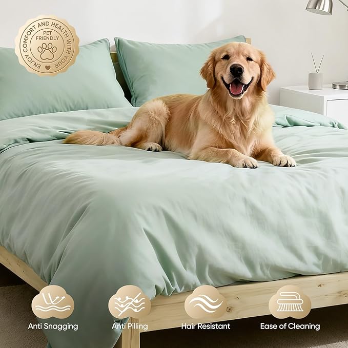 TWK 1200 Thread Count 100% Egyptian Cotton Sheets Bed Set,Thickness,Long-Lasting Durability,Resists Pilling,Deep Pocket Up to 18",with a Laundry Bag (Mineral, Queen)