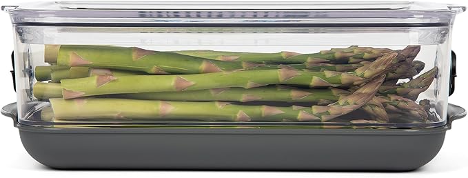 Progressive ProKeeper Stackable Produce ProKeeper Storage Container with Stay-Fresh Vent System (PKS-907 (3 qt Medium Produce))