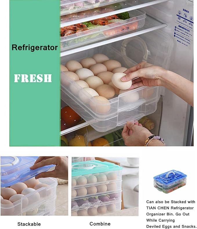 Deviled Egg Tray with Lid, 2-Layer, Stackable Egg Carrier Holder for Refrigerator, Camping Food Storage Container with Handle, Large, 40 eggs(transparent)