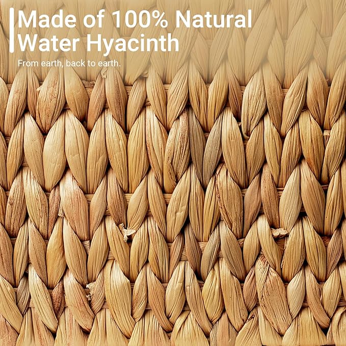 Wicker Baskets for Organizing, Pantry Baskets with Built-in Handles, Handwoven Wicker Storage Basket, Water Hyacinth Storage Bins for Shelves, Small - 2pcs, Natural