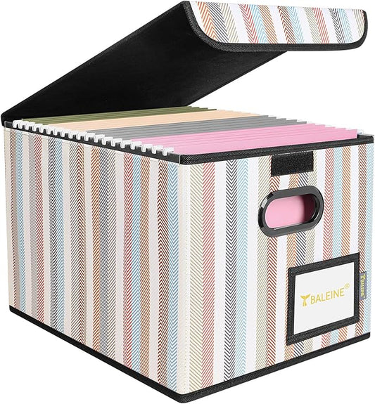 BALEINE File Organizer Box with Lid, Collapsible File Folder Organizer with Plastic Slide, Hanging File Folder Box for Office Document Storage (1 Pack, Color Stripe)