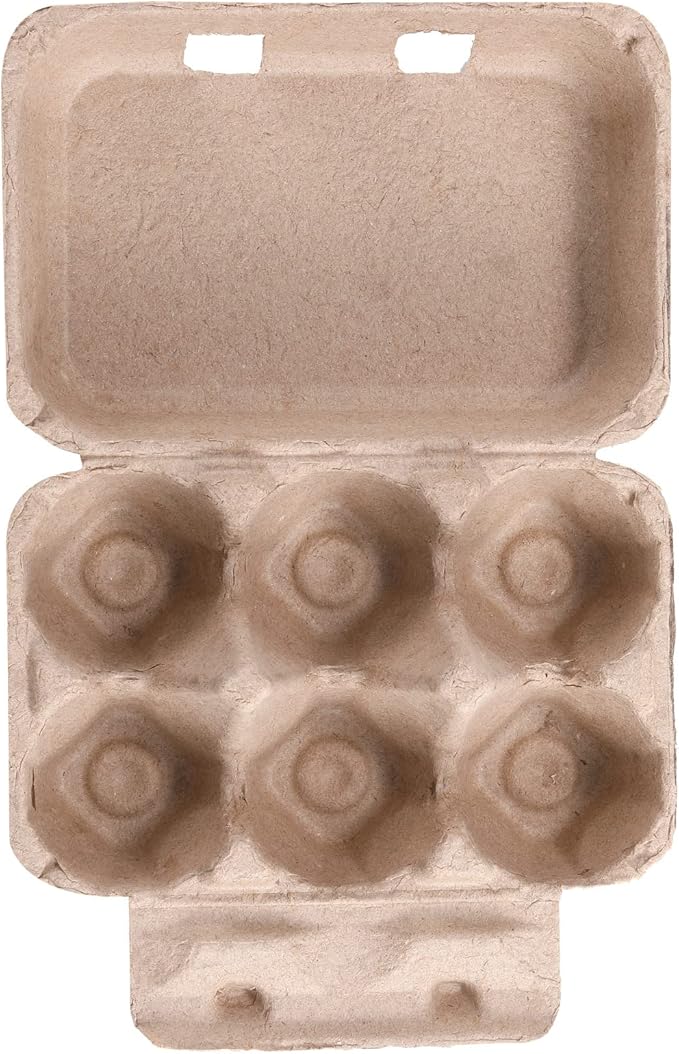 Half Dozen Egg Cartons Cheap Bulk 100 Pack, Blank Natural Pulp Box 6 Count for Chicken Eggs Reusable, Storage Tray Strong for Holds Up to Six 6 Egg Cardboard Paper Holder Container for Refrigerator