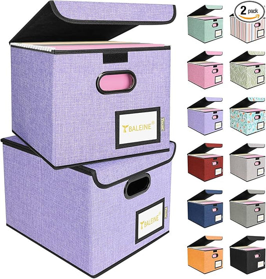 BALEINE File Organizer Box with Lid, Collapsible File Folder Organizer with Plastic Slide, Hanging File Folder Box for Office Document Storage (2 Pack, Purple)