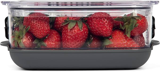Progressive ProKeeper Stackable Produce ProKeeper Storage Container with Stay-Fresh Vent System (PKS-912 (1.2 qt Berry Keeper))